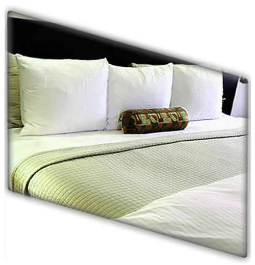 Dust Mite treatment and Mattress Cleaning Adelaide